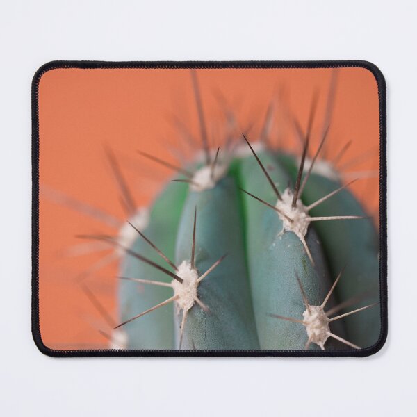 Item preview, Cactus designed and sold by Donatella Loi.