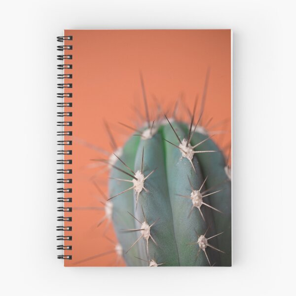 Item preview, Cactus designed and sold by Donatella Loi.