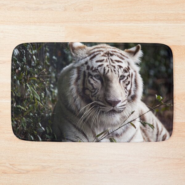 Item preview, White Tiger, Montgomery Zoo, Montgomery, Alabama designed and sold by OrcaNature.