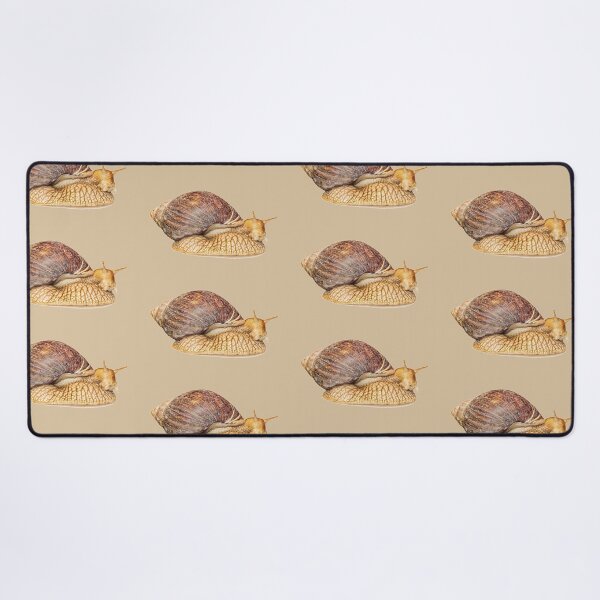 Item preview, Achatina snail isolated on white background with shadow. designed and sold by IaroslavB.