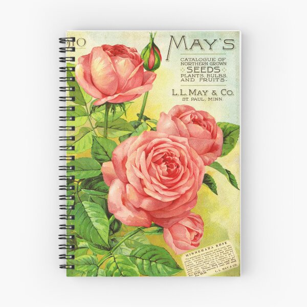 Item preview, LL May & Co Minnehaha Rose Illustration designed and sold by VintageAndy.