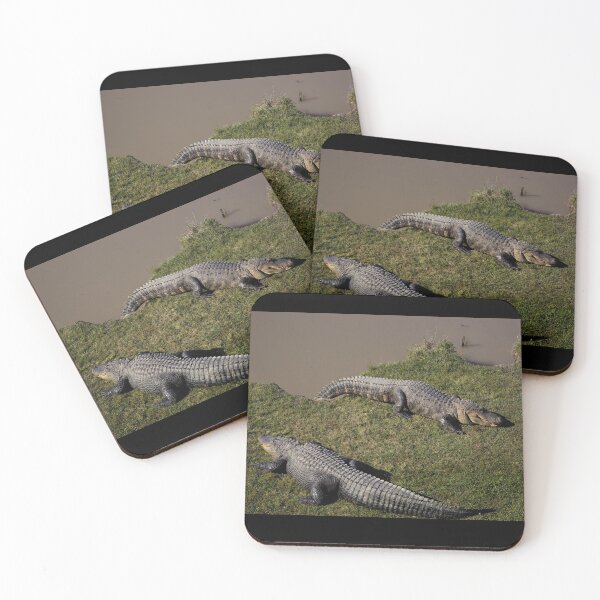 Item preview, Alligator Alley has 20 acres of natural cypress swamp land, where alligators roam freely in a protected environment, Summerdale, Alabama designed and sold by OrcaNature.