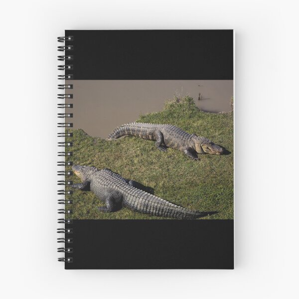 Item preview, Alligator Alley has 20 acres of natural cypress swamp land, where alligators roam freely in a protected environment, Summerdale, Alabama designed and sold by OrcaNature.