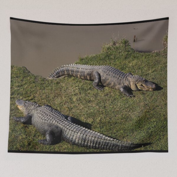 Item preview, Alligator Alley has 20 acres of natural cypress swamp land, where alligators roam freely in a protected environment, Summerdale, Alabama designed and sold by OrcaNature.