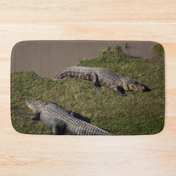 Item preview, Alligator Alley has 20 acres of natural cypress swamp land, where alligators roam freely in a protected environment, Summerdale, Alabama designed and sold by OrcaNature.
