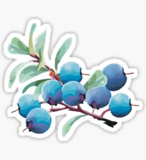 Blueberries Sticker