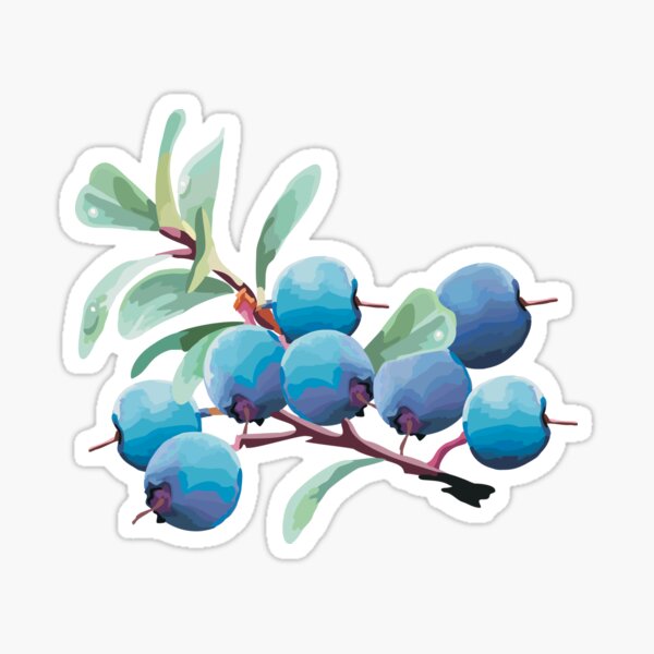 Blueberries Sticker