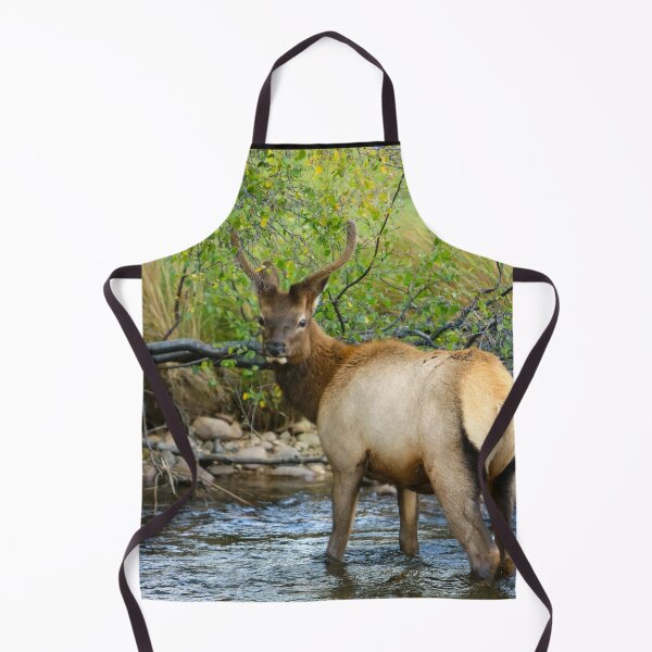 Item preview, Elk at Estes Park Oct. 2016 designed and sold by BarbaraWilliams.