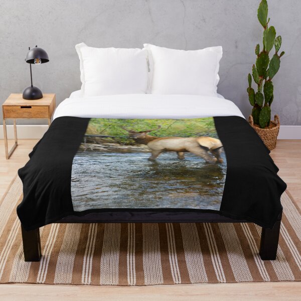 Item preview, Elk at Estes Park Oct. 2016 designed and sold by BarbaraWilliams.