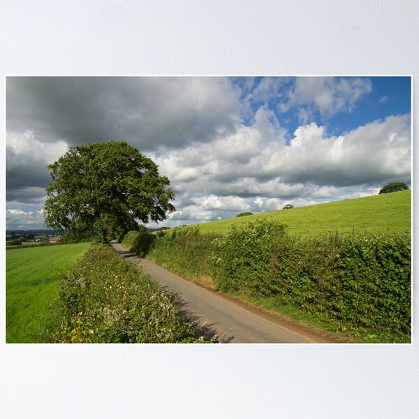 Item preview, Devon hedgerow designed and sold by Pete Hemington.
