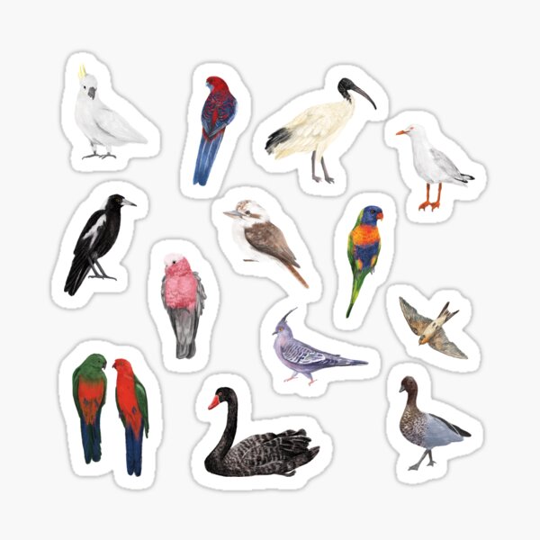Australian Birds Sticker