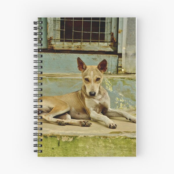 Item preview, Portrait Of A Burmese Dog designed and sold by Alexandra Lavizzari.
