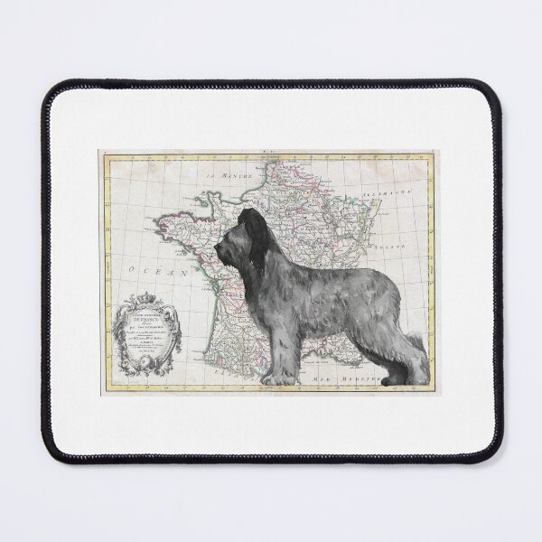 Briard, a French herding dog. Artwork is credited to Amanda Torres done for the Briard Club of America Mouse Pad