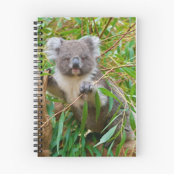 Item preview, Yoda the Koala Joey designed and sold by ArtbyBodge.