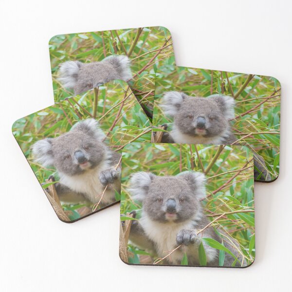 Item preview, Yoda the Koala Joey designed and sold by ArtbyBodge.