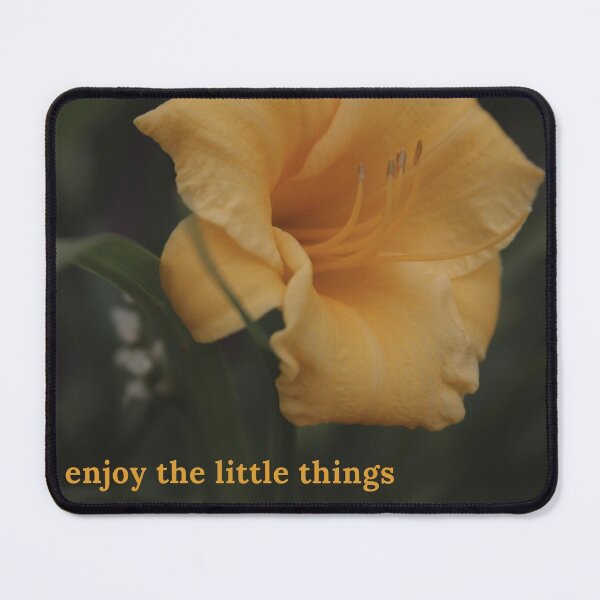 Item preview, enjoy the little things designed and sold by tomorrowishere.