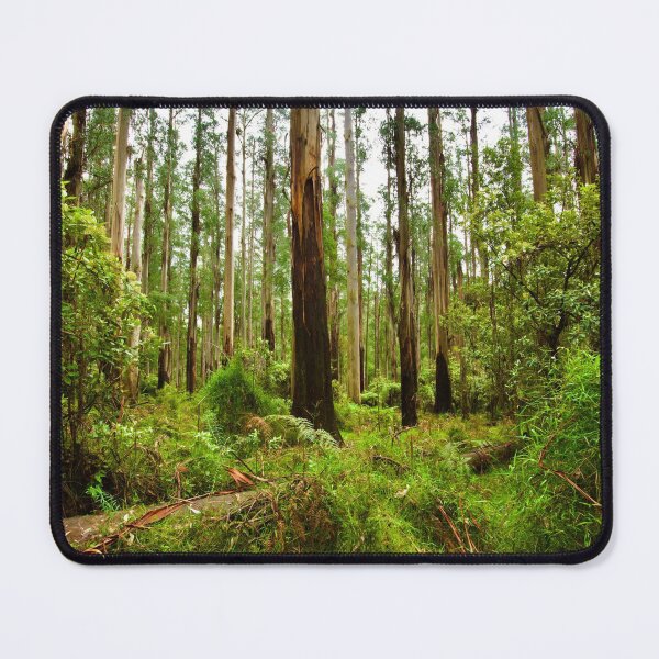 Item preview, The Australian Bush designed and sold by ArtbyBodge.