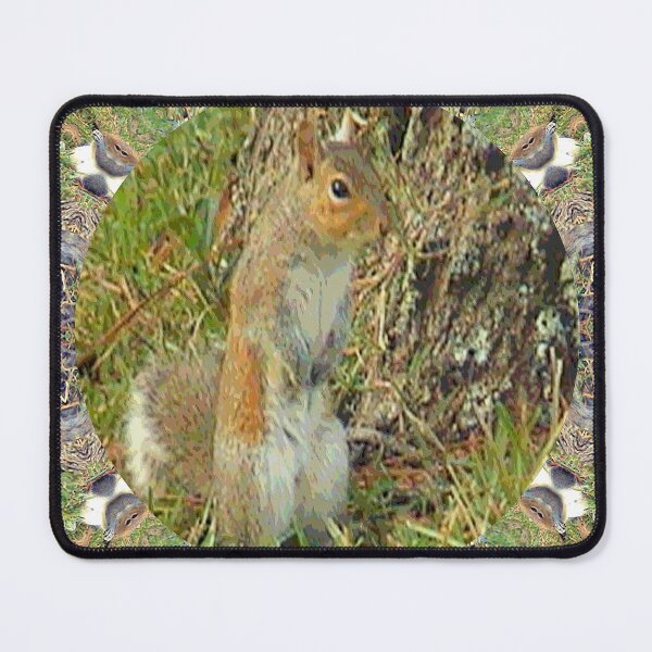 Item preview, Squirrel Stand designed and sold by kristalcurt.