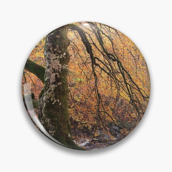 Item preview, Favoured Beech designed and sold by ShinyPhoto.