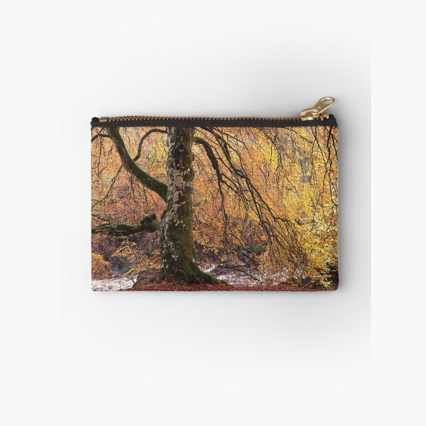 Item preview, Favoured Beech designed and sold by ShinyPhoto.