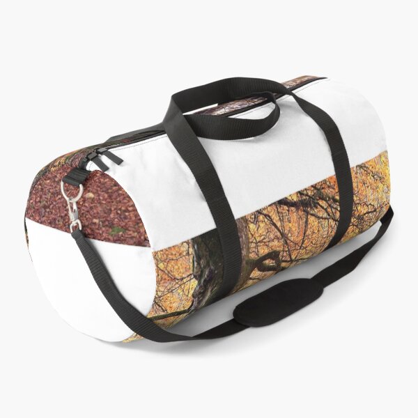 Item preview, Favoured Beech designed and sold by ShinyPhoto.
