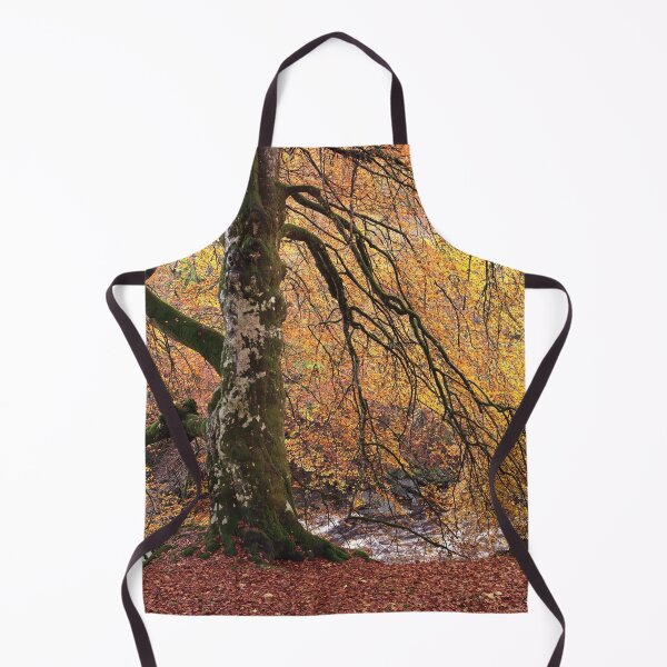 Item preview, Favoured Beech designed and sold by ShinyPhoto.