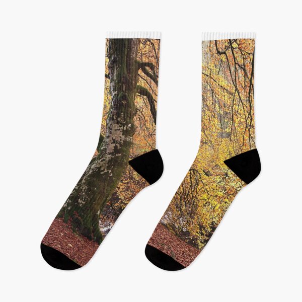 Item preview, Favoured Beech designed and sold by ShinyPhoto.