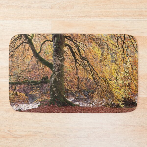 Item preview, Favoured Beech designed and sold by ShinyPhoto.