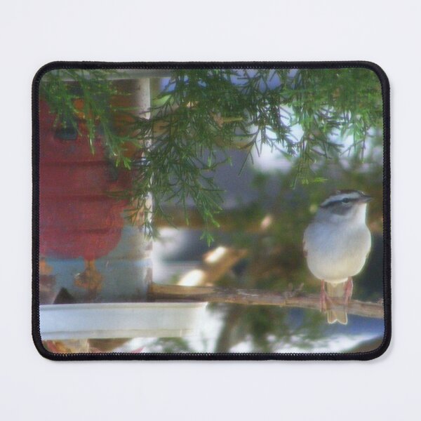 Item preview, Li'l Bird Rests on Birdfeeder designed and sold by kristalcurt.