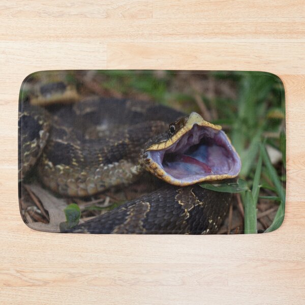 Item preview, Eastern Hognose Gaping Print designed and sold by Paul-Prints.