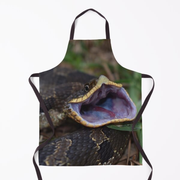Item preview, Eastern Hognose Gaping Print designed and sold by Paul-Prints.