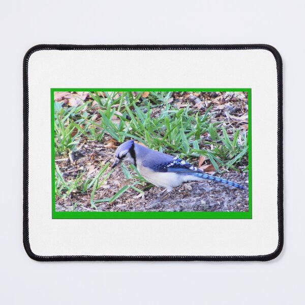 Artikelvorschau, Geerdeter Bluejay entworfen und verkauft von kristalcurt.
