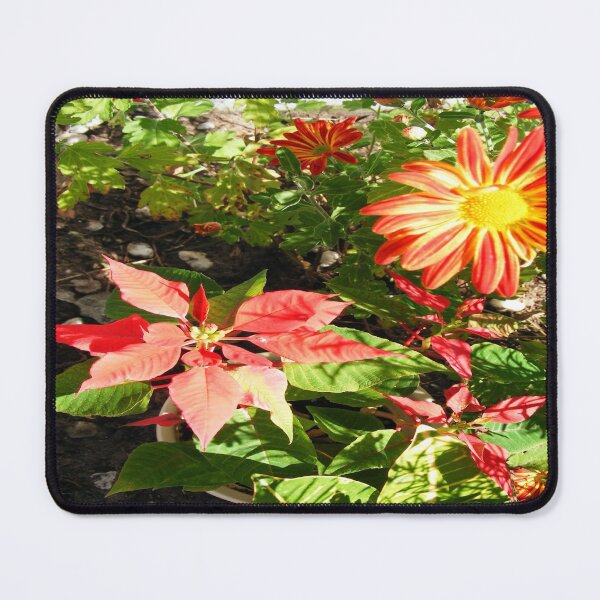 Item preview, Pointsettias + Mums designed and sold by kristalcurt.