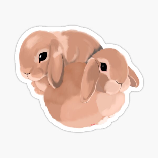 Holland Lops Sticker