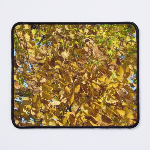 Item preview, Autumn Colors, Jersey City, New Jersey designed and sold by lenspiro.