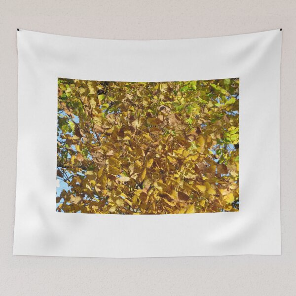 Item preview, Autumn Colors, Jersey City, New Jersey designed and sold by lenspiro.