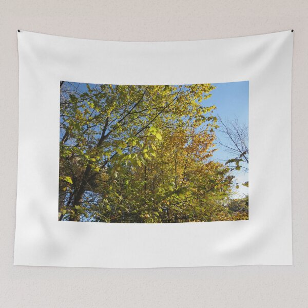 Item preview, Autumn Colors, Jersey City, New Jersey designed and sold by lenspiro.