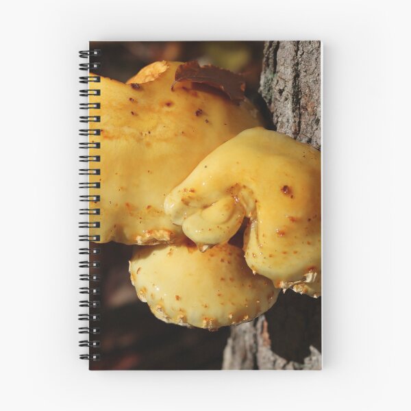 Item preview, Mushroom in Dew designed and sold by Fhfarms.