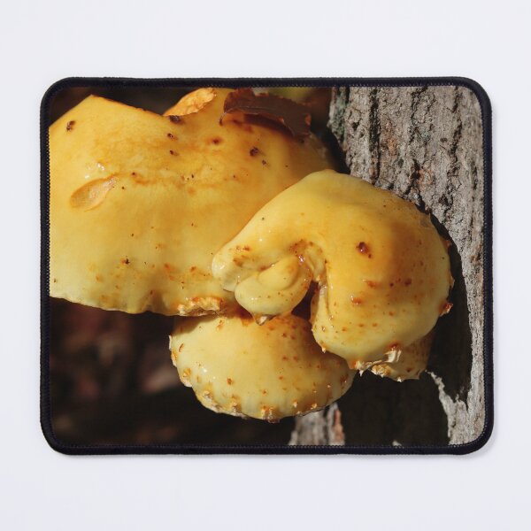 Item preview, Mushroom in Dew designed and sold by Fhfarms.