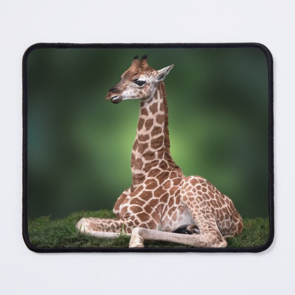 Item preview, Giraffe Calf designed and sold by NaturallyArt.