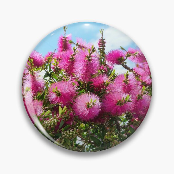 Item preview, Bottlebrush designed and sold by Dean Wiles.