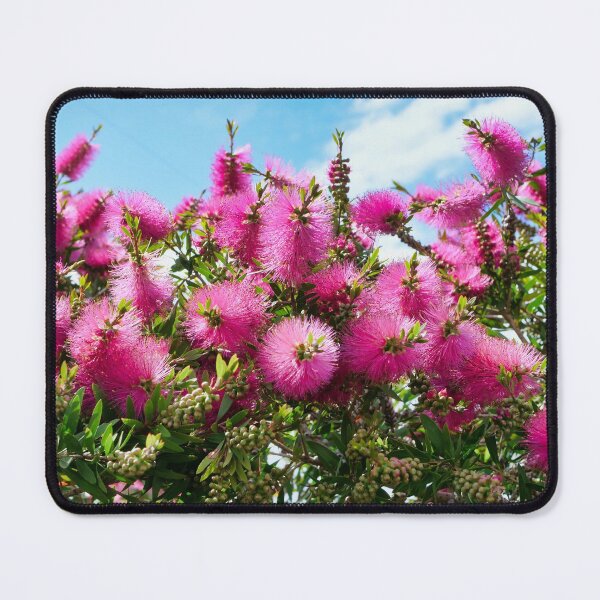 Item preview, Bottlebrush designed and sold by Dean Wiles.