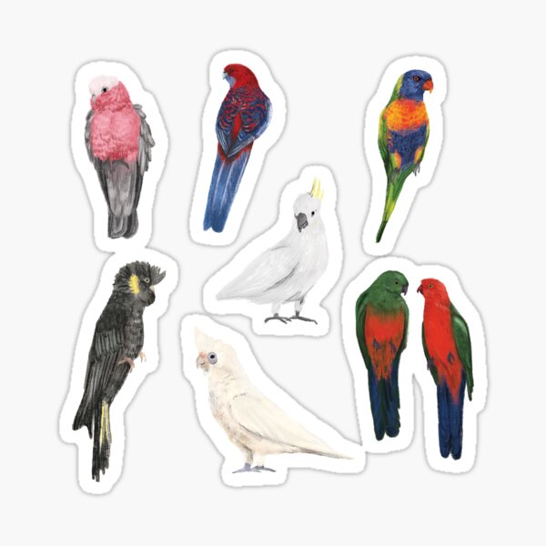Australian Parrots Sticker