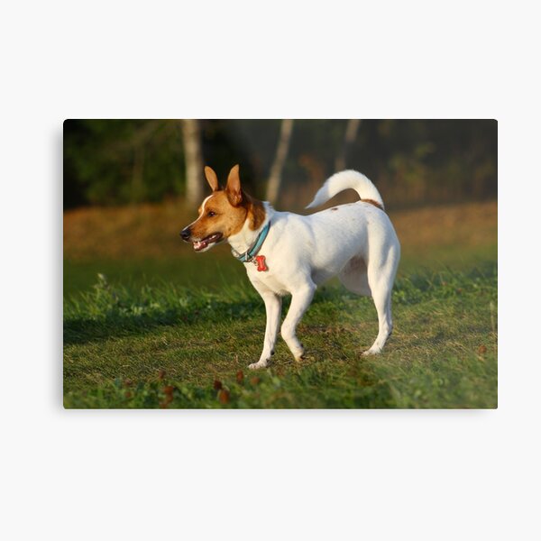 Untitled Metal Print