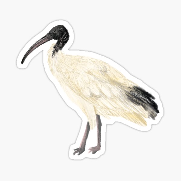 Item preview, Bin Chicken designed and sold by Kayla Reay.