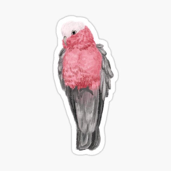 Item preview, Galah designed and sold by Kayla Reay.