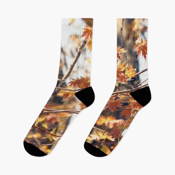 Item preview, Early Maple Leaves designed and sold by Natural-Habitat.