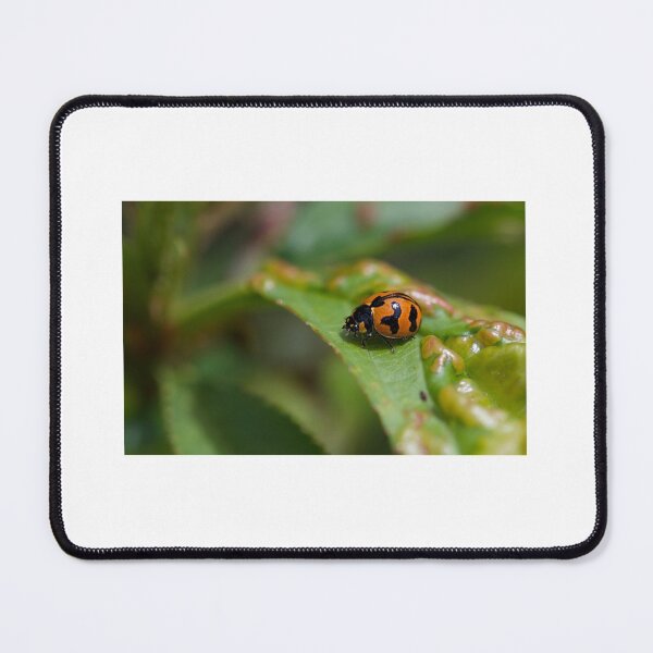 Item preview, Ladybird/Ladybug on a leaf designed and sold by Vicki Johnson.