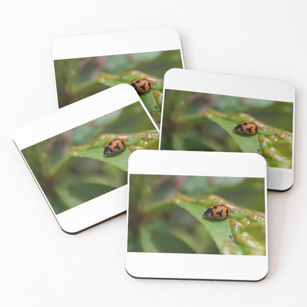 Item preview, Ladybird/Ladybug on a leaf designed and sold by Vicki Johnson.
