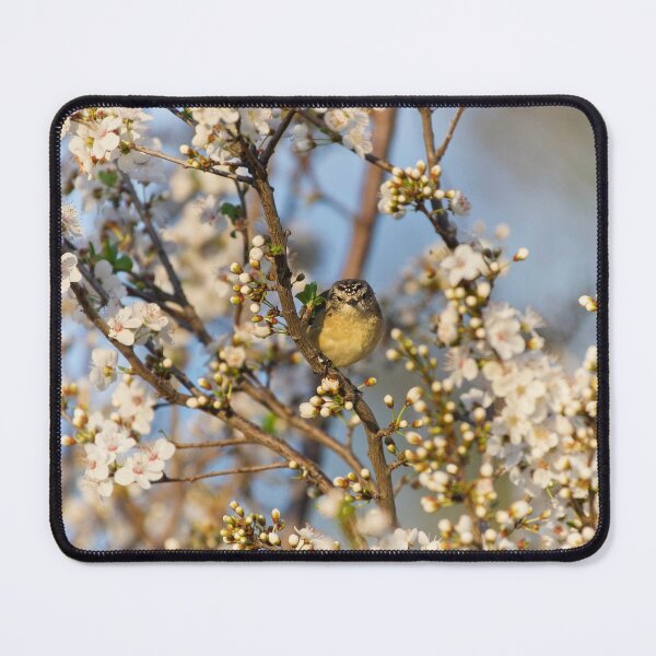Item preview, Little Bird in Spring Blossoms designed and sold by Vicki Johnson.